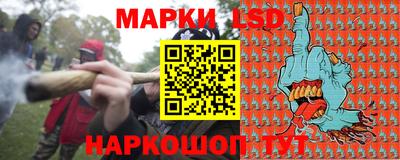шишки Аргун