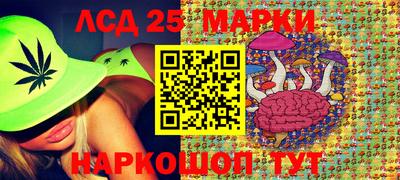 шишки Аргун