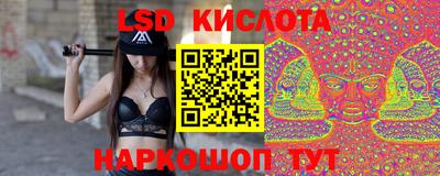 шишки Аргун