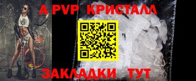 шишки Аргун