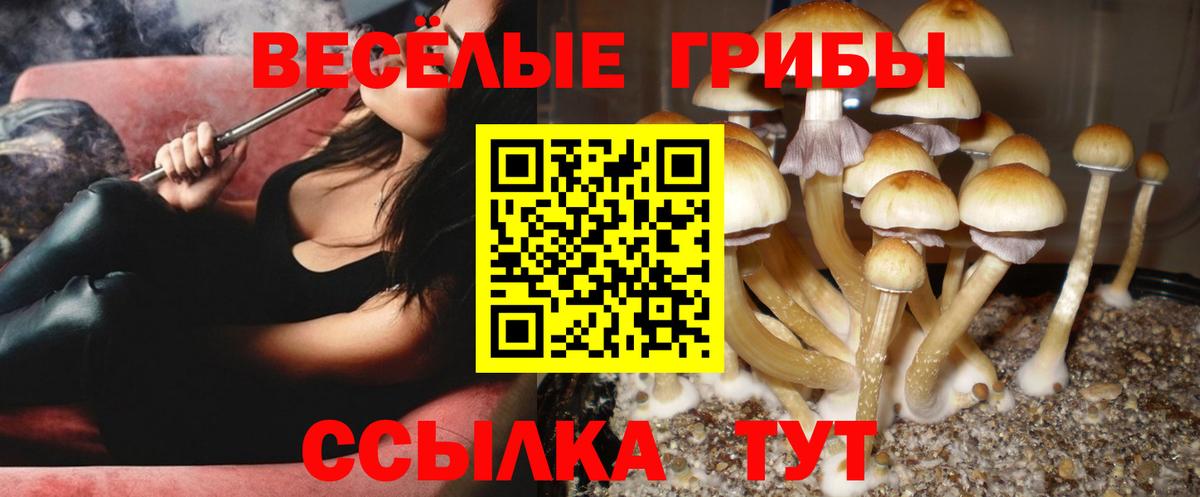 Галлюциногенные грибы мицелий Волгоград